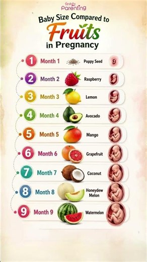 Baby Size Compared to Fruits by Month | Fetal Development During Pregnancy