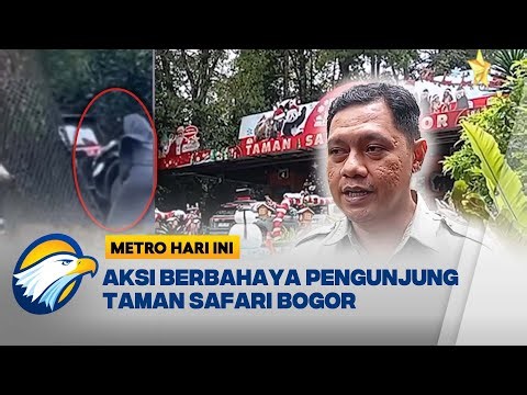 Langgar Aturan, TSI Cari Identitas Pengunjung Nekat Beri Makan Hewan Jarak Dekat - [Metro Hari Ini]