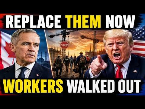 Trump Called Them “Replaceable” — 72 Hours Later, U.S. Projects Collapse | $8B Mistake Explained