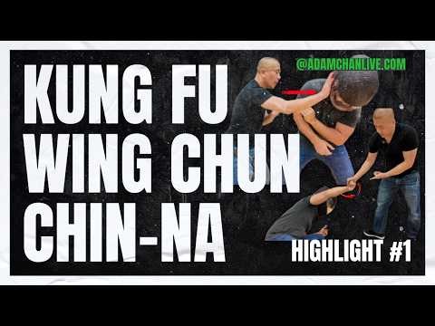 Kung Fu , Wing Chun, Chin Na - Class Highlights #1 Adam Chan