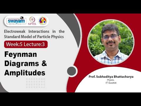 Lec 24: Feynman Diagrams & Amplitudes
