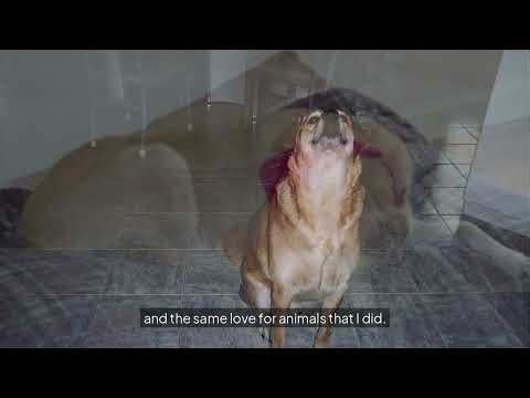 Chapter 5.2: Proactive Maintenance