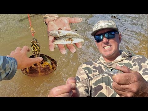 We Caught Weird Fish in a Big Net and Used them for Bait (catch & Cook) Turtle, Carp and Needlefish