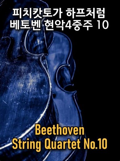 Harp Like String Quartet, Beethoven No.10, Op.74 (1.Mov) / #fullscore 베토벤 현악4중주 "하프"
