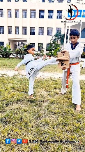 Taekwondo Powerful Kicks 🔥 | Speed & Technique ⚡ #Shorts