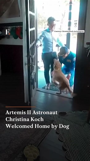 Artemis II Astronaut Christina Koch Welcomed Home by Dog | N18G