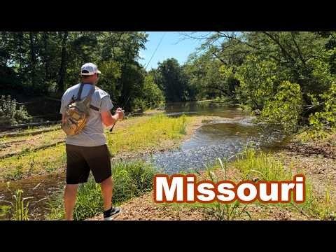 We Found a Gorgeous Missouri creek