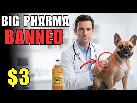 $2 Liquid DESTROYS Pet Skin Allergies FOREVER. Vets Were Told Never to Mention It.