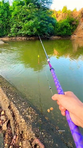 That Fish Bait Fishing Rod Big Fish Catching Video in River #fishing #shortvideo