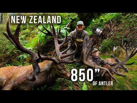Chasing MONSTER Stag During The "ROAR" | NZ