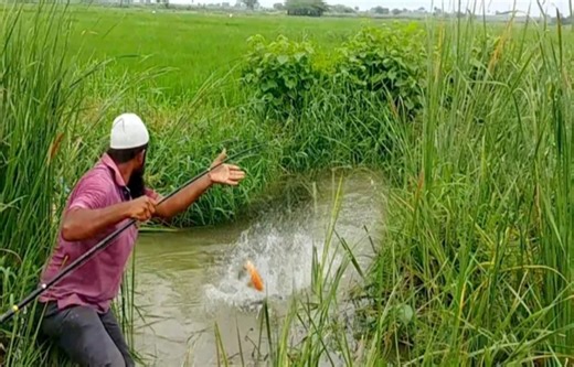 Incredible Fishing in Flowing water catch big fish #fish #fishing | Underground Hunter