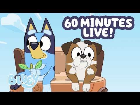 🔴LIVE: Bluey's Helicopter Adventure 🚁 | Transport Game + ONE HOUR CLIPS 💙 | Bluey