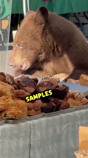HoW BeAr YoU?! 🐻🤢