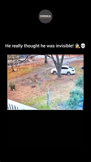 Zuiden on Instagram: "This hilarious security footage captures what might actually be the worst hiding attempt ever recorded. It starts with a man frantically running across a leaf-covered yard, trying to escape from several police officers who are close behind him. In a moment of pure desperation, he spots an outdoor AC unit and decides to crouch right next to it, mistakenly thinking he is hidden. The humor peaks when an officer walks directly up to him and stands there for a several seconds, l