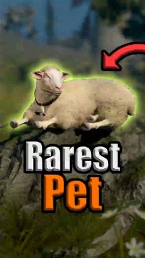 How to get the rerest pet in #baldursgate3 #gaming #shorts