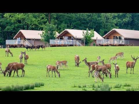 Most Beautiful Places In the World | From France & Switzerland to Thailand & Beyond! day4