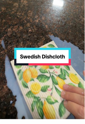 Swedish Dishcloth: The Ultimate Home Gadget Review