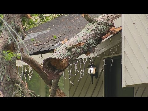 Large tree falls on home during morning storm