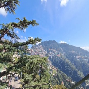 Himachal Pradesh: Clear skies bring respite, IMD forecasts another cold spell