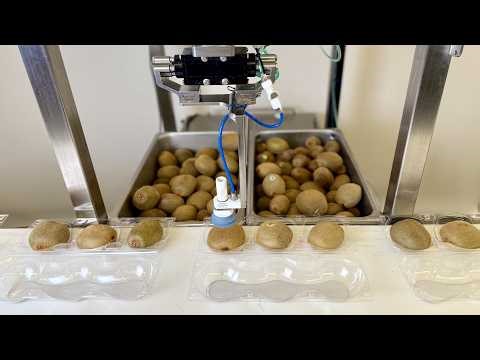 Chef Robotics Physical AI Models Can Help Automate Produce Packing