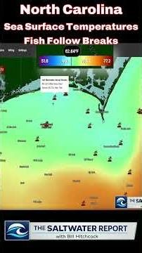 Fish Following These Temperature Lines #fishing #technique