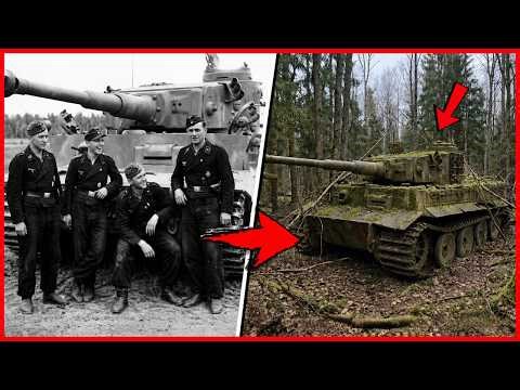 Panzer Crew Vanished After Kursk 1943 — 80 Years Later Their Tiger Tank Found Sealed in Forest
