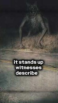 Cryptozoology: The Beast of Bray Road The Creature Seen Standing on Two Legs