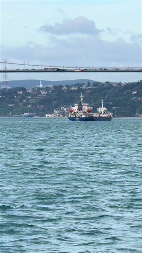 Greetings from Istanbul: A Summer View of the Bosphorus
