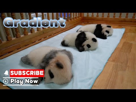 Old Clips Of Cheng Feng, Cheng Lang And Ji Xiao | iPanda