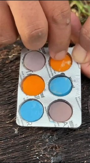 Survival skills: SMART idea and USEFUL #bushcraft #shorts #camping #wildlife