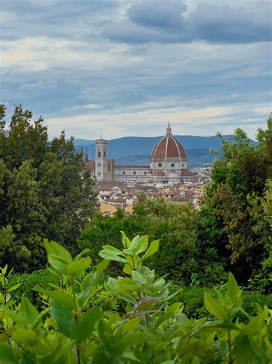 Florence: A Living Painting