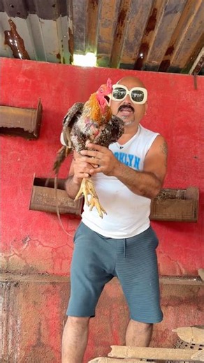 Desi murga pakda….😍❤️🍗 #chickenlegpiece #ulhaskamthe #foodchallenge #indianfood #foodie #shorts