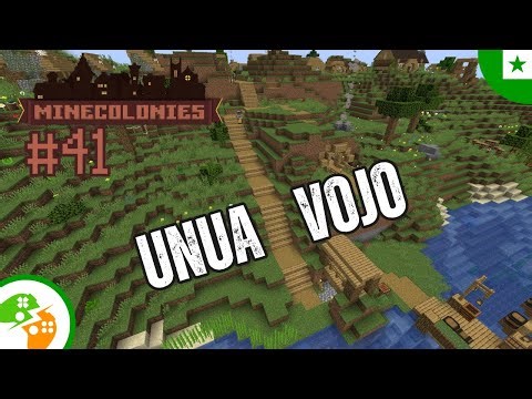 Mi kreis vojon al la ponto | Minecraft Minecolonies E41 | Esperanto