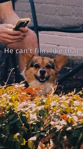 Max Blumenthal on Instagram: "Just a little test of the ol davinci resolve. Color grading is coming along but still feels like pulling teeth."