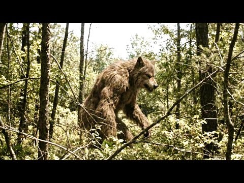 The New Clearest Cryptid Footage of 2026 is Here! *REAL PROOF*