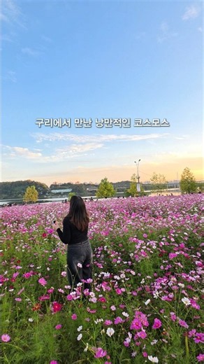 구리 코스모스 축제😍