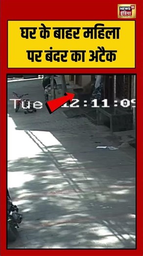 Monkey Attack Viral vieo: घर के बाहर महिला पर बंदर का अटैक | #viralvideo #shorts