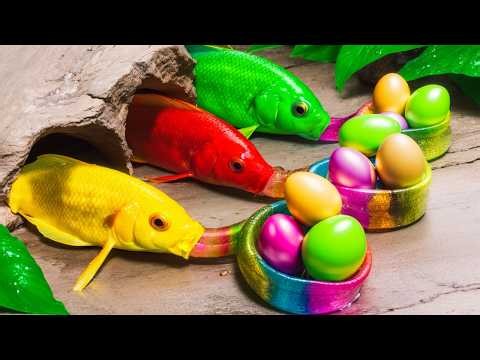 Best Of Small Fish Recipe | MINIATURE Fish Cooking Made EASY with Simple Recipe
