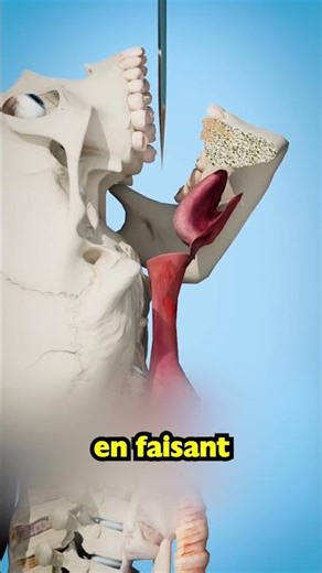 Le magicien avale une Épée avec sa gorge ?!😨