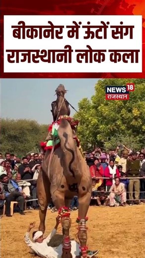 #shorts : बीकानेर में ऊंटों संग राजस्थानी लोक कला | Camel Festival 2026 | Breaking News | N18S