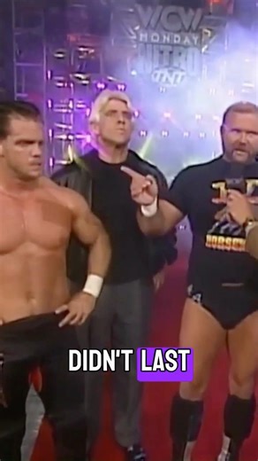 The BEST WCW Horsemen Lineup?