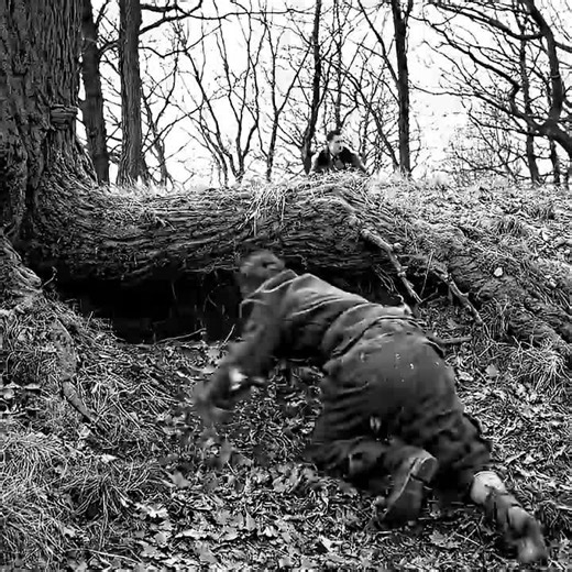 Exploring Iconic Movie Scenes in Cinema History