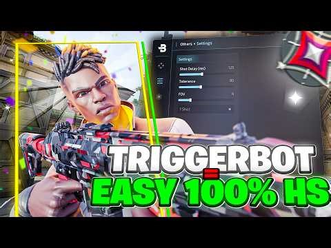 This Valorant Triggerbot is Actually INSANE
