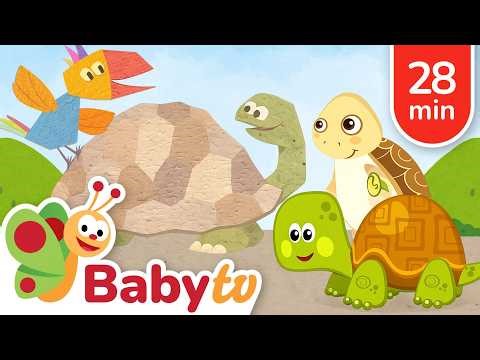 Turtles & Tortoises! | Animal Facts for Toddlers @BabyTV