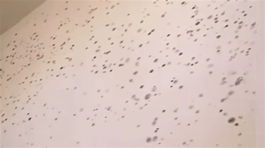 Doctor reacts to extreme mold case