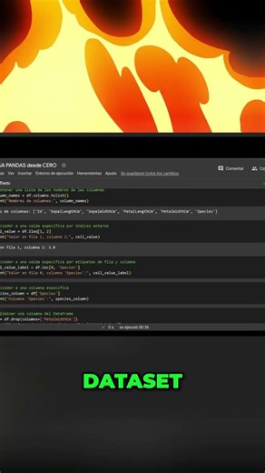 Accede a Datos en Python ¡Rápido y Sencillo con Pandas!