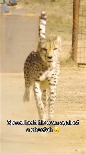 This is WILD! (via @IShowSpeed/TT)