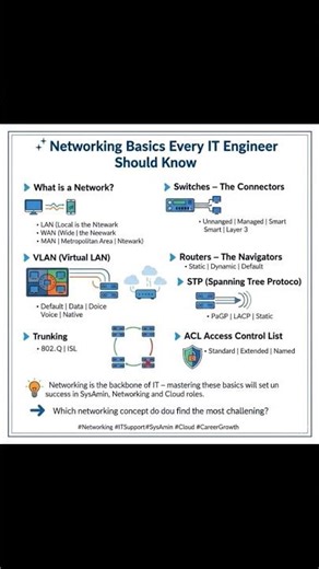 Networking Basics Every IT Engineer Should Know | Network Educative