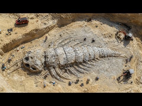 Wissenschaftler entdeckten ein 506 Millionen Jahre altes Monster in Kanada